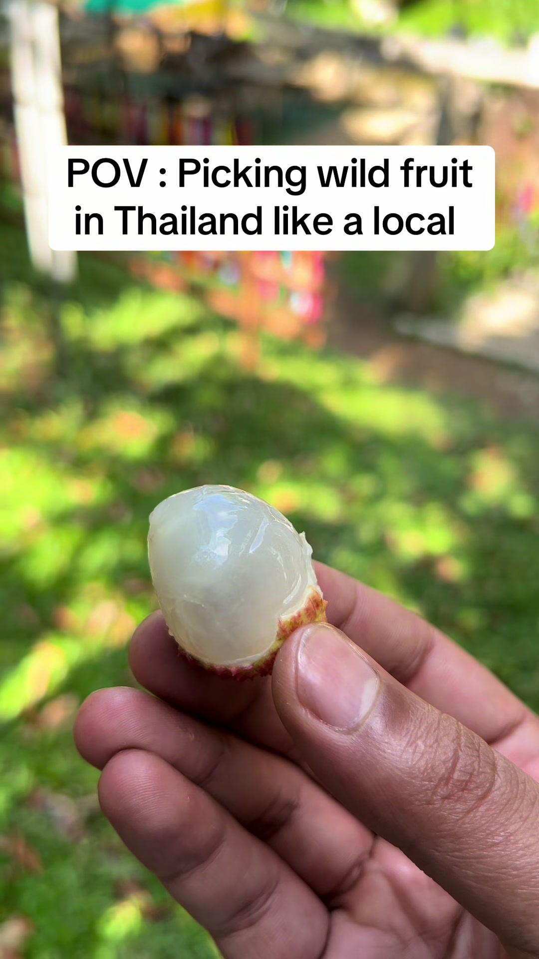 @Mr side quest