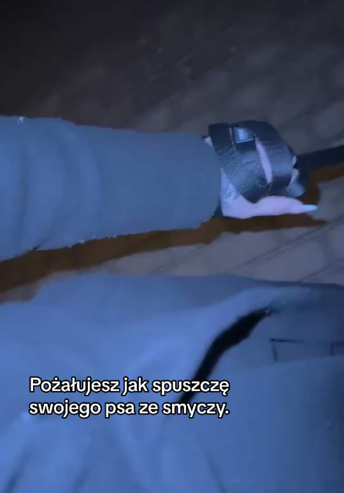@P1 Zmora