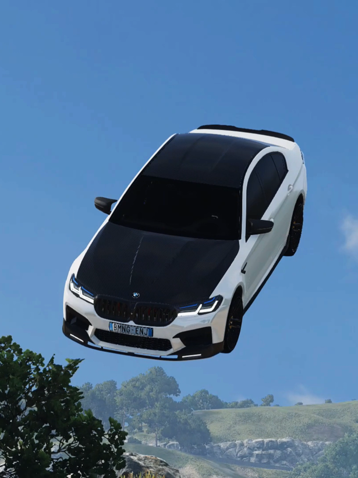 @🇵🇸 The BeamNG Enjoyer 🇵🇸