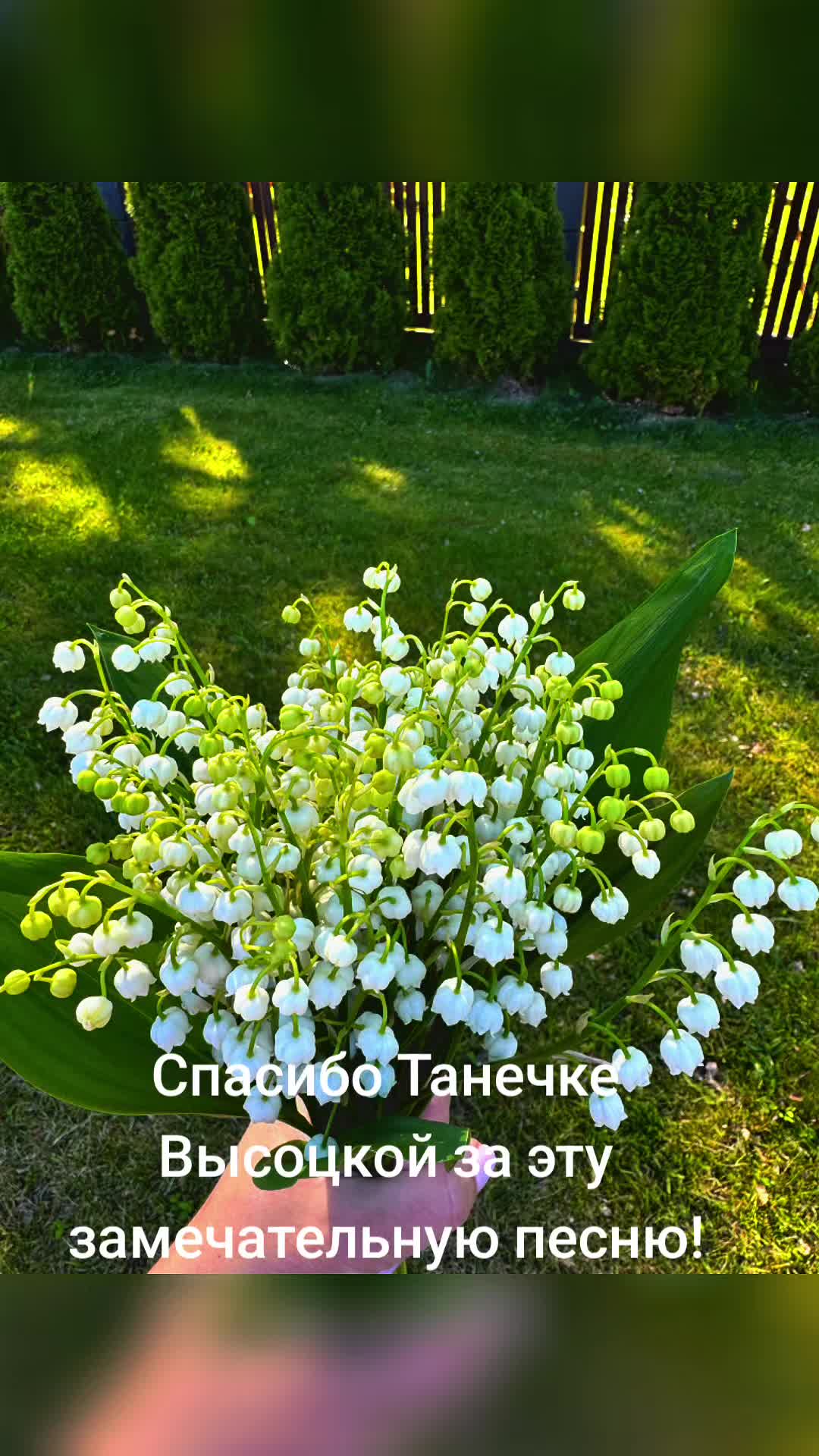 @Тамара