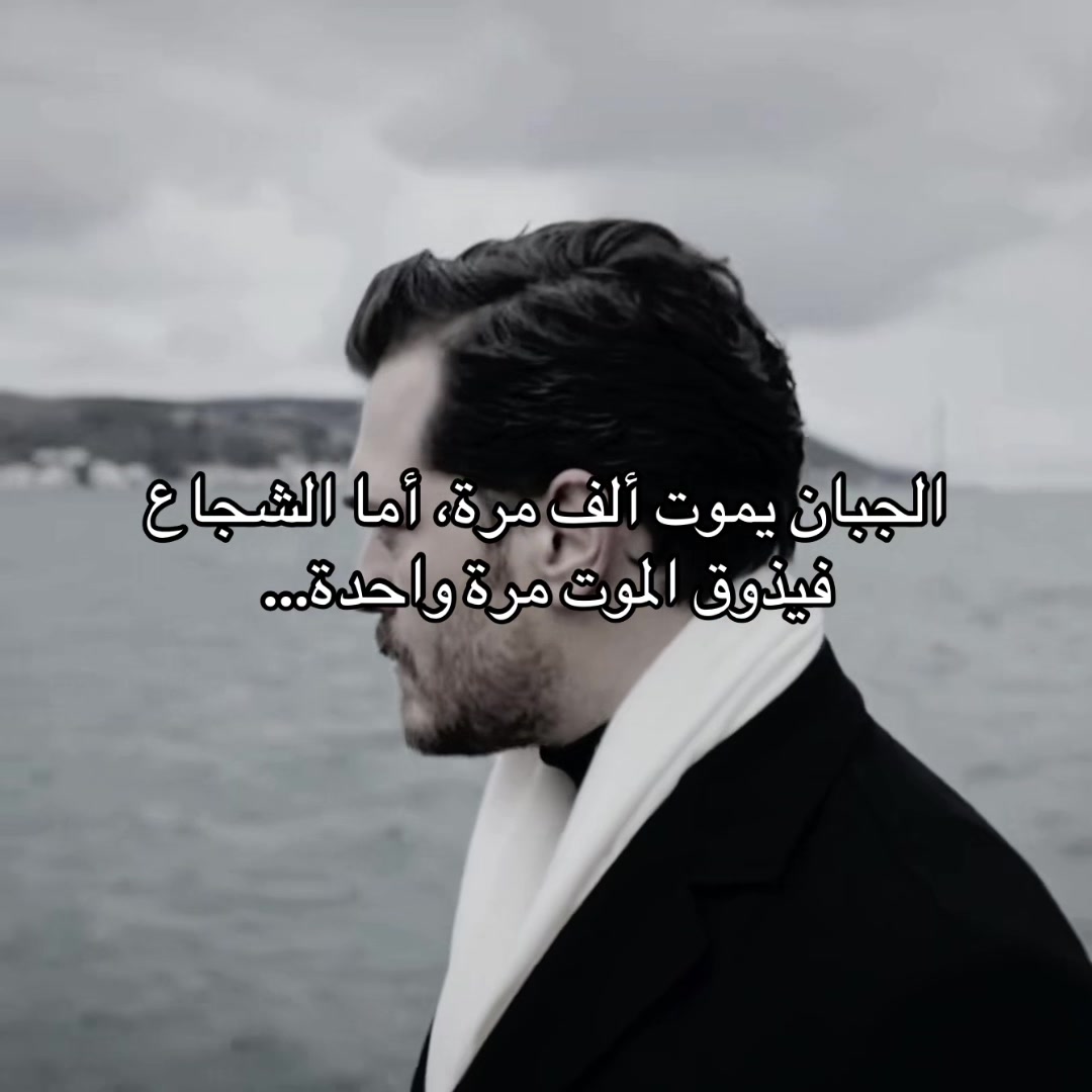 @sarp_tek