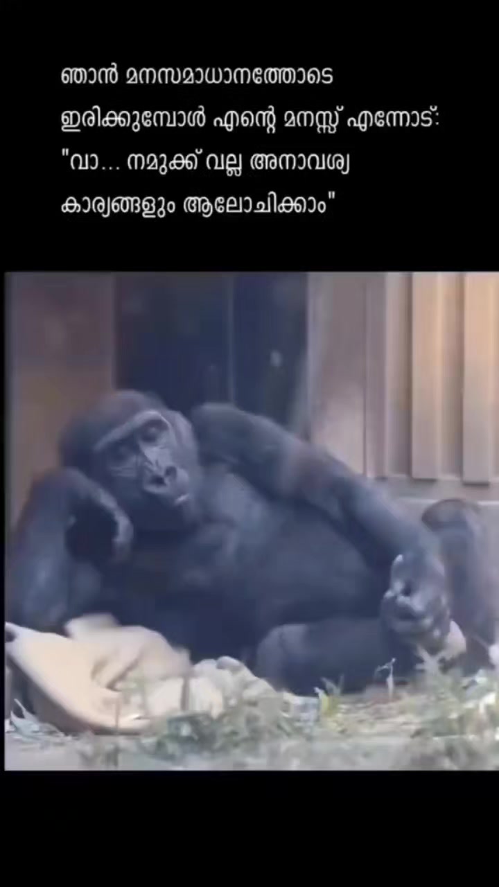 @maheshgopinath