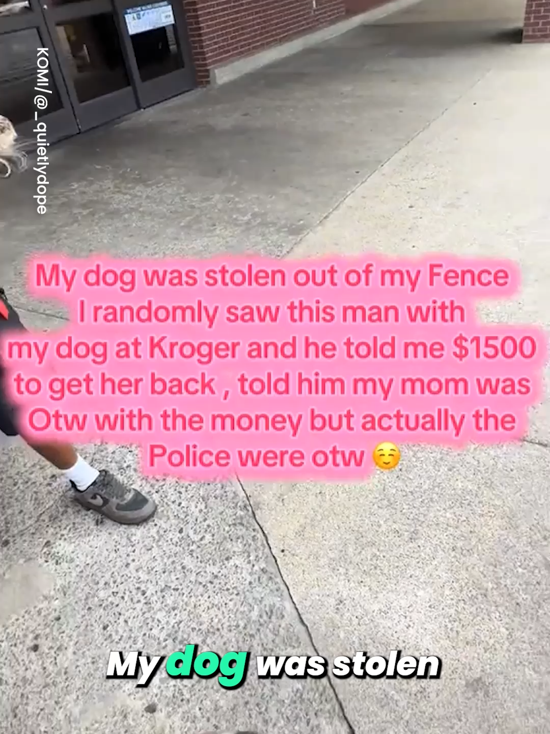 @Go Fetch