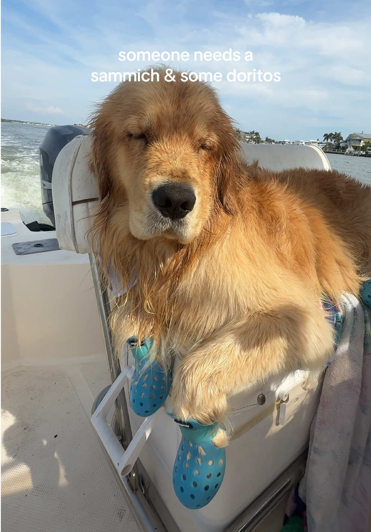 @reef the golden