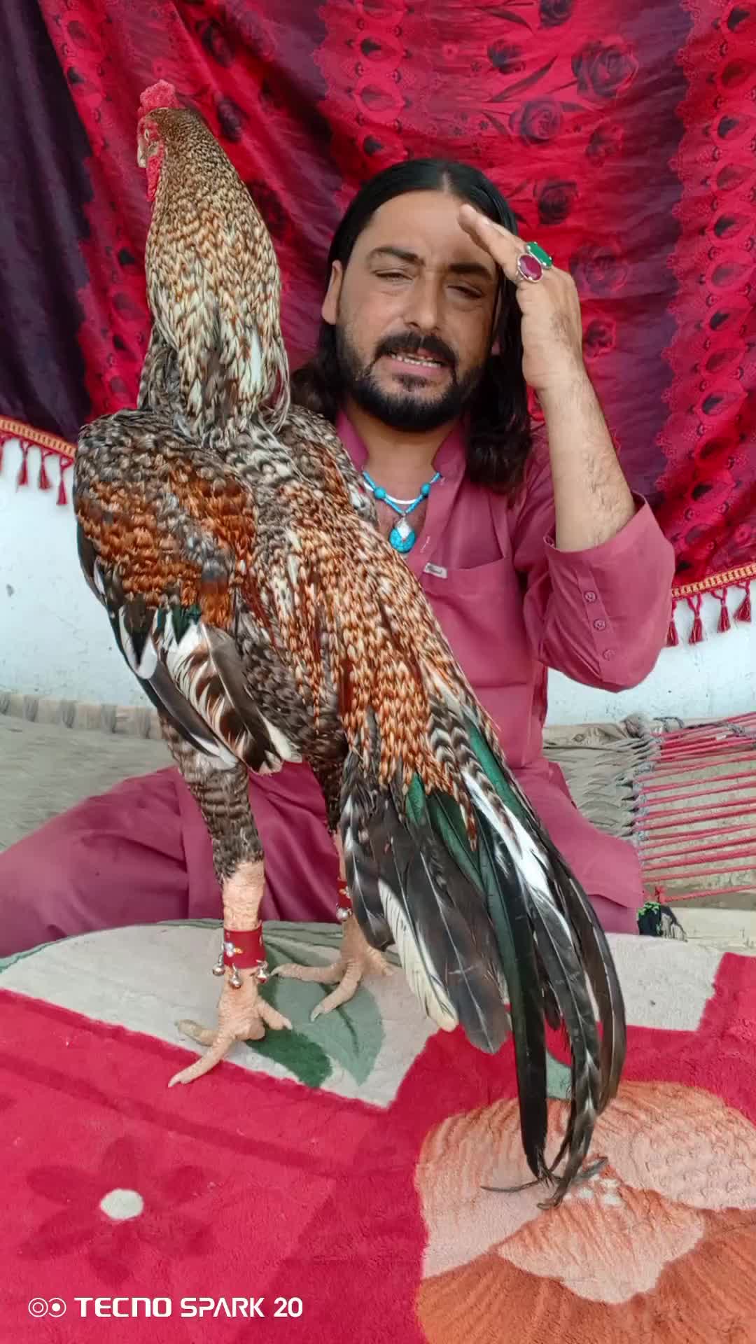 @Adnan Khan Aseel