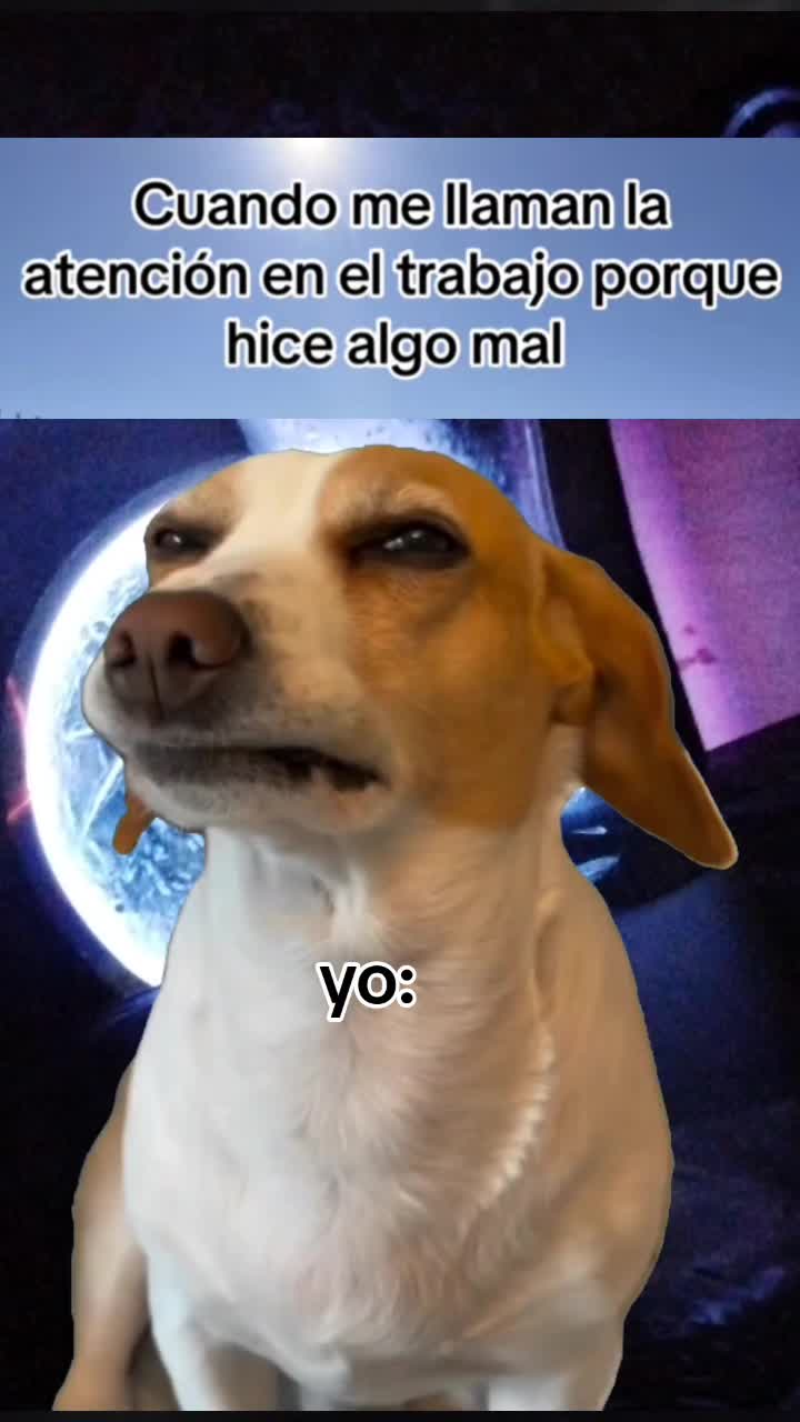 @viajero