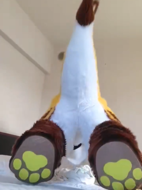 @radywolf