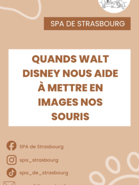 @spa_strasbourg