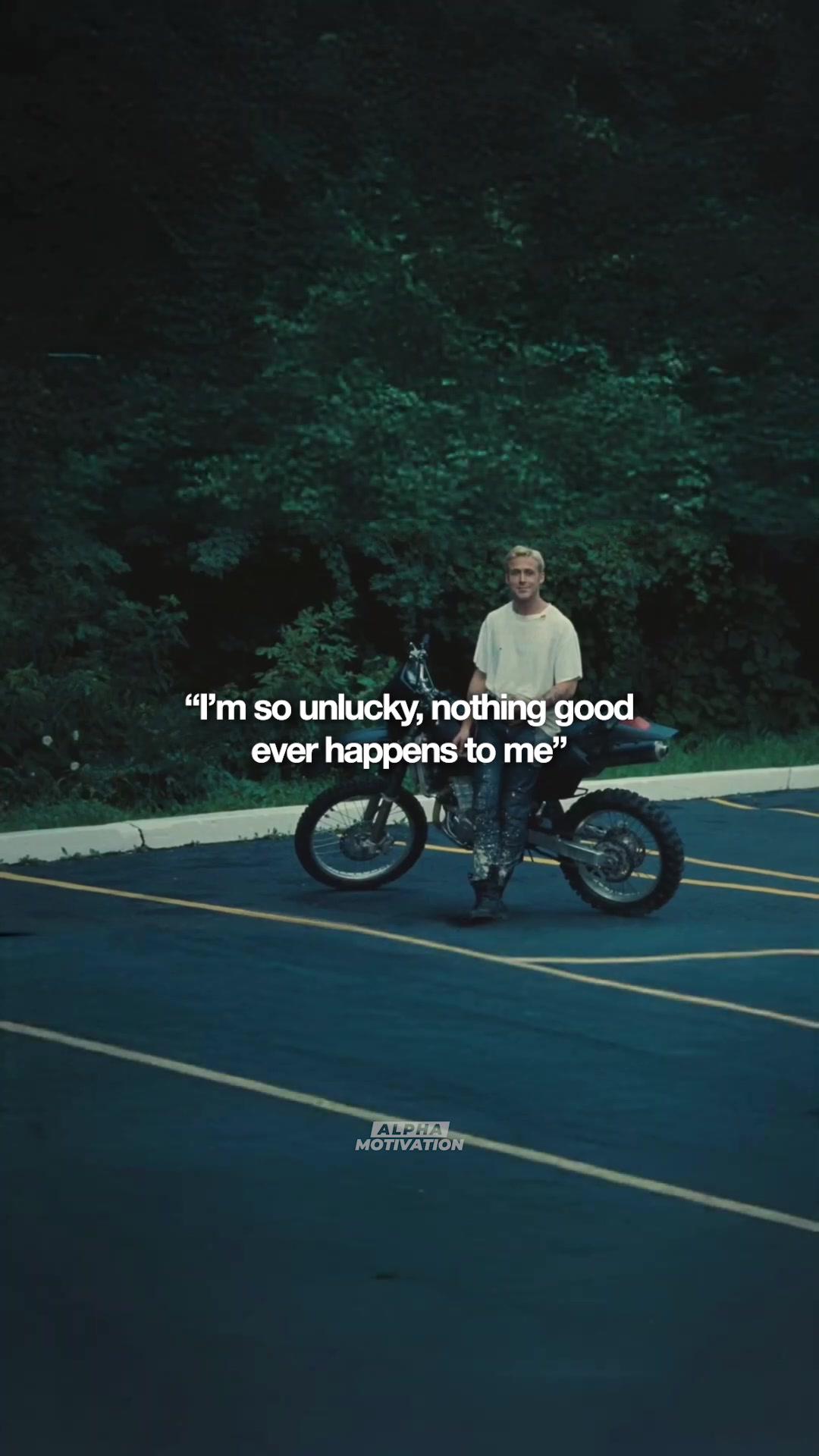 @Alpha Motivation