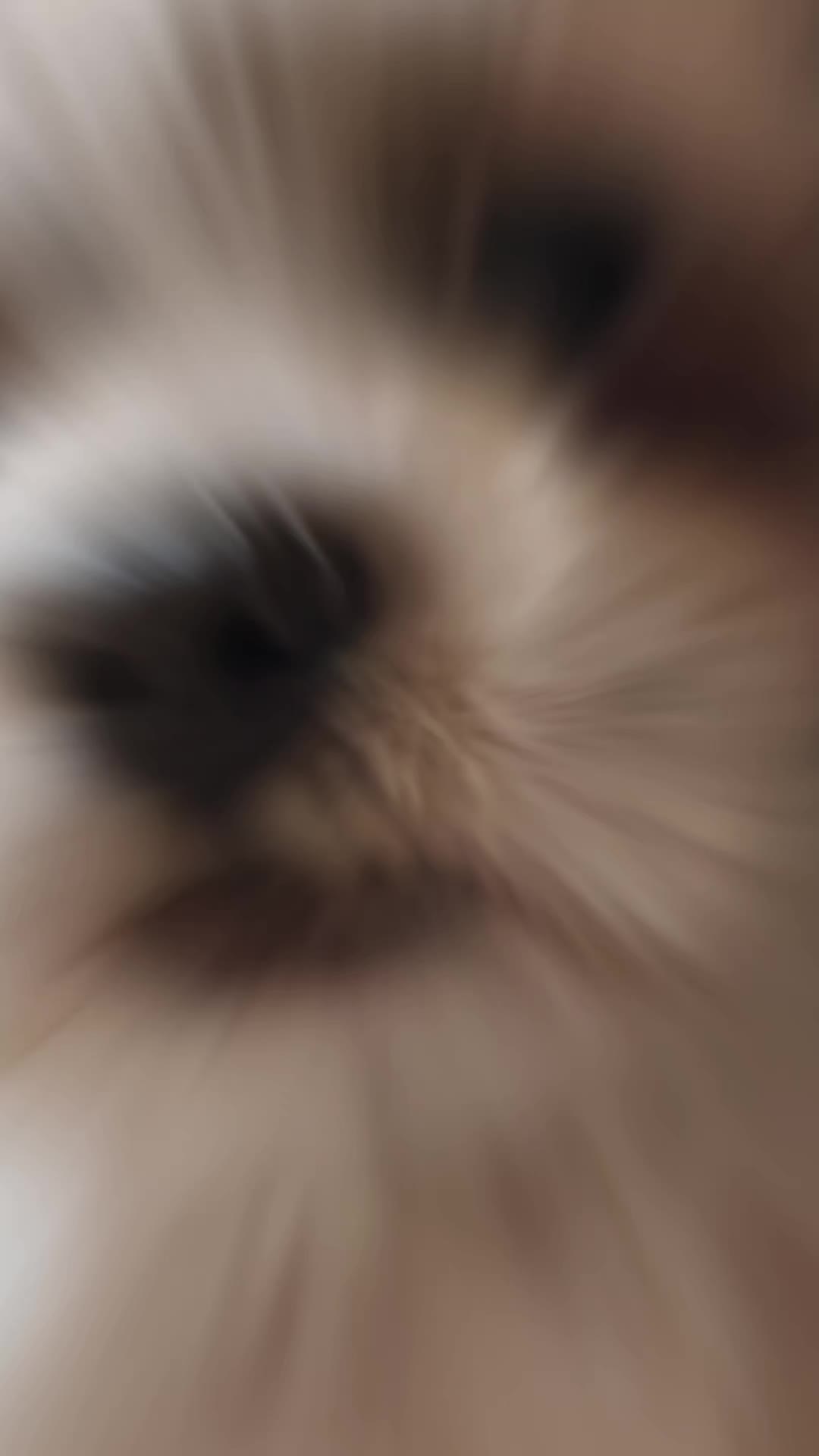 @Niko