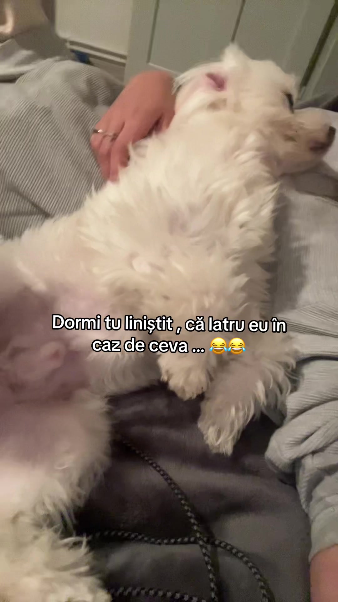 @Mioana
