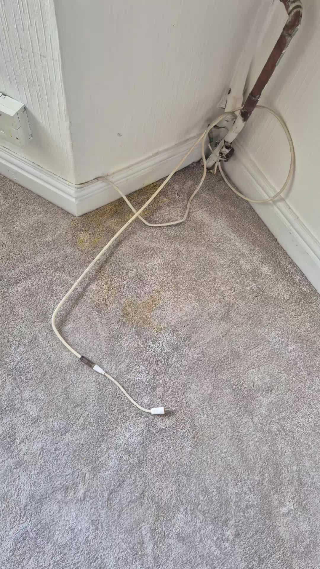 @Thomas carpet cleaning Ltd