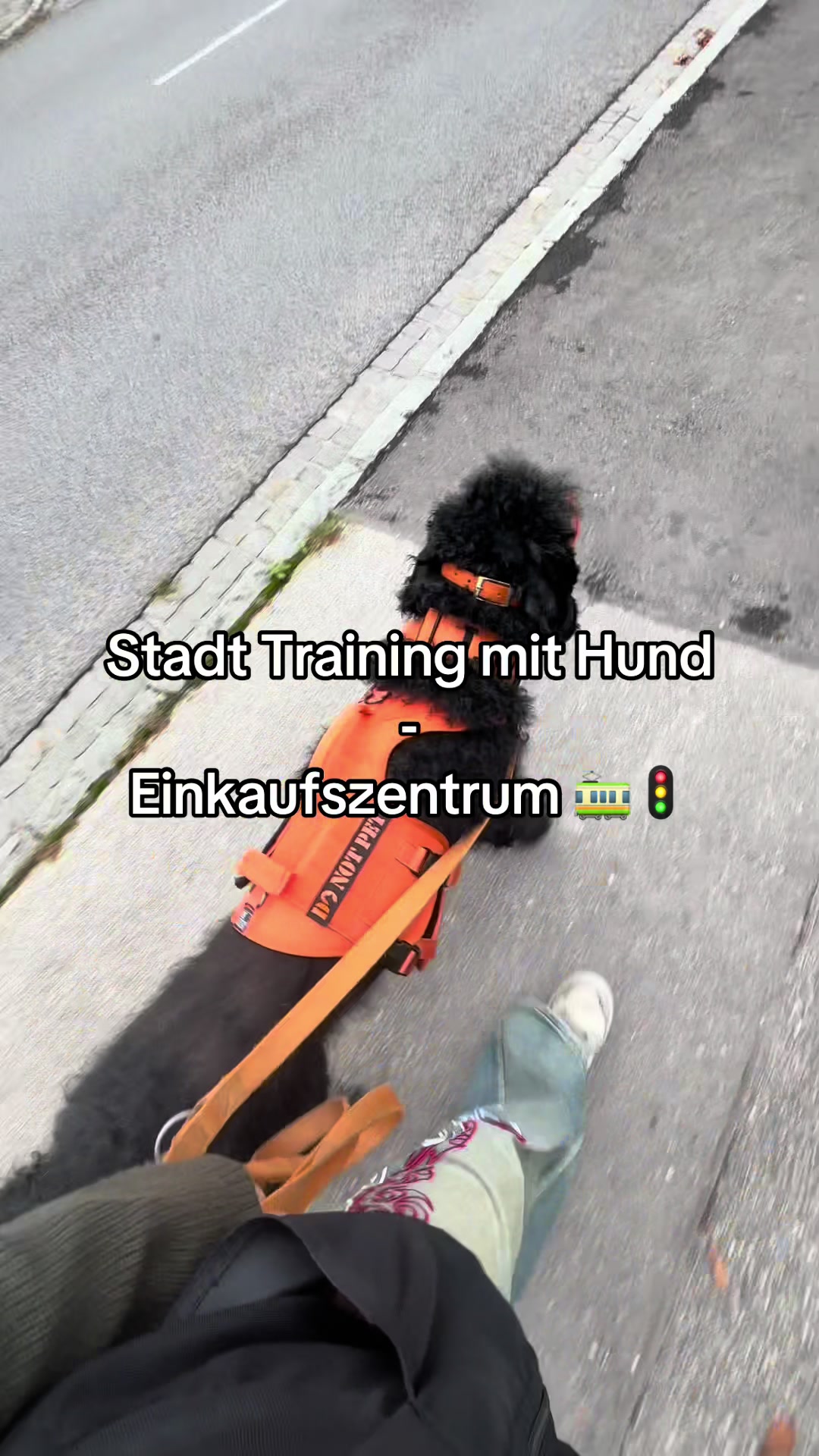 @Stinkebär