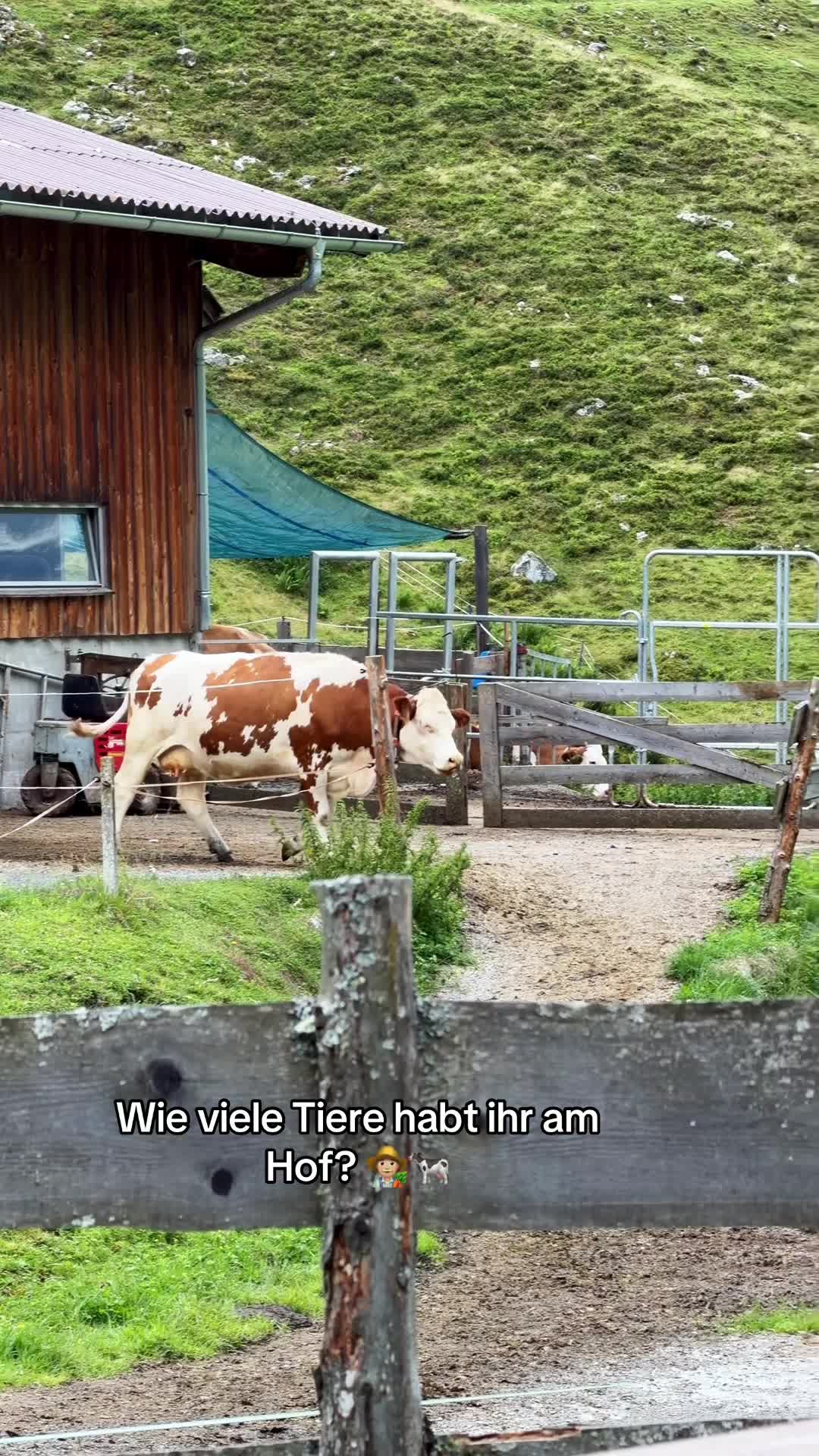 @FarmTok