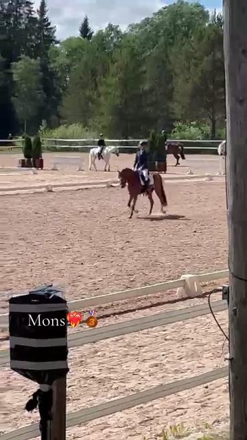 @Equestrian_tiiaa