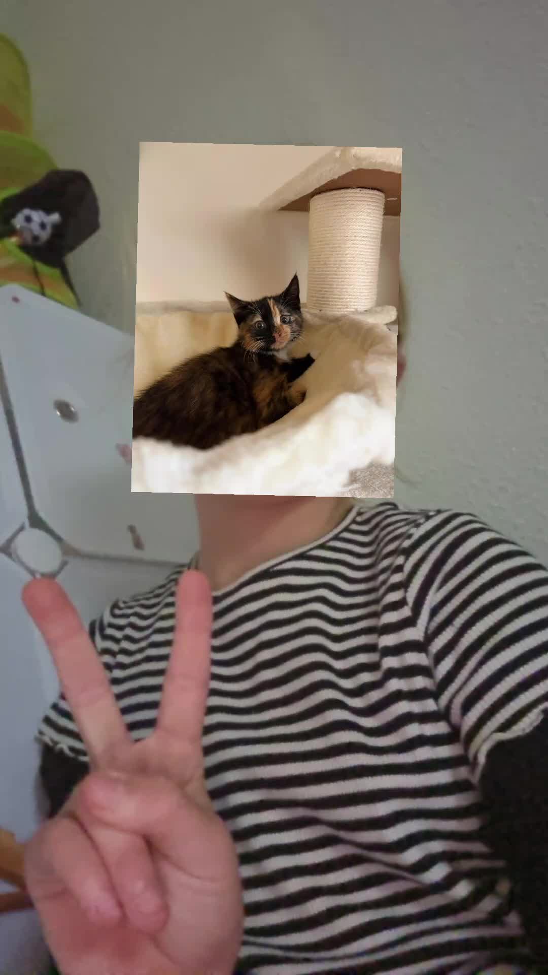 @Itz_Zoe