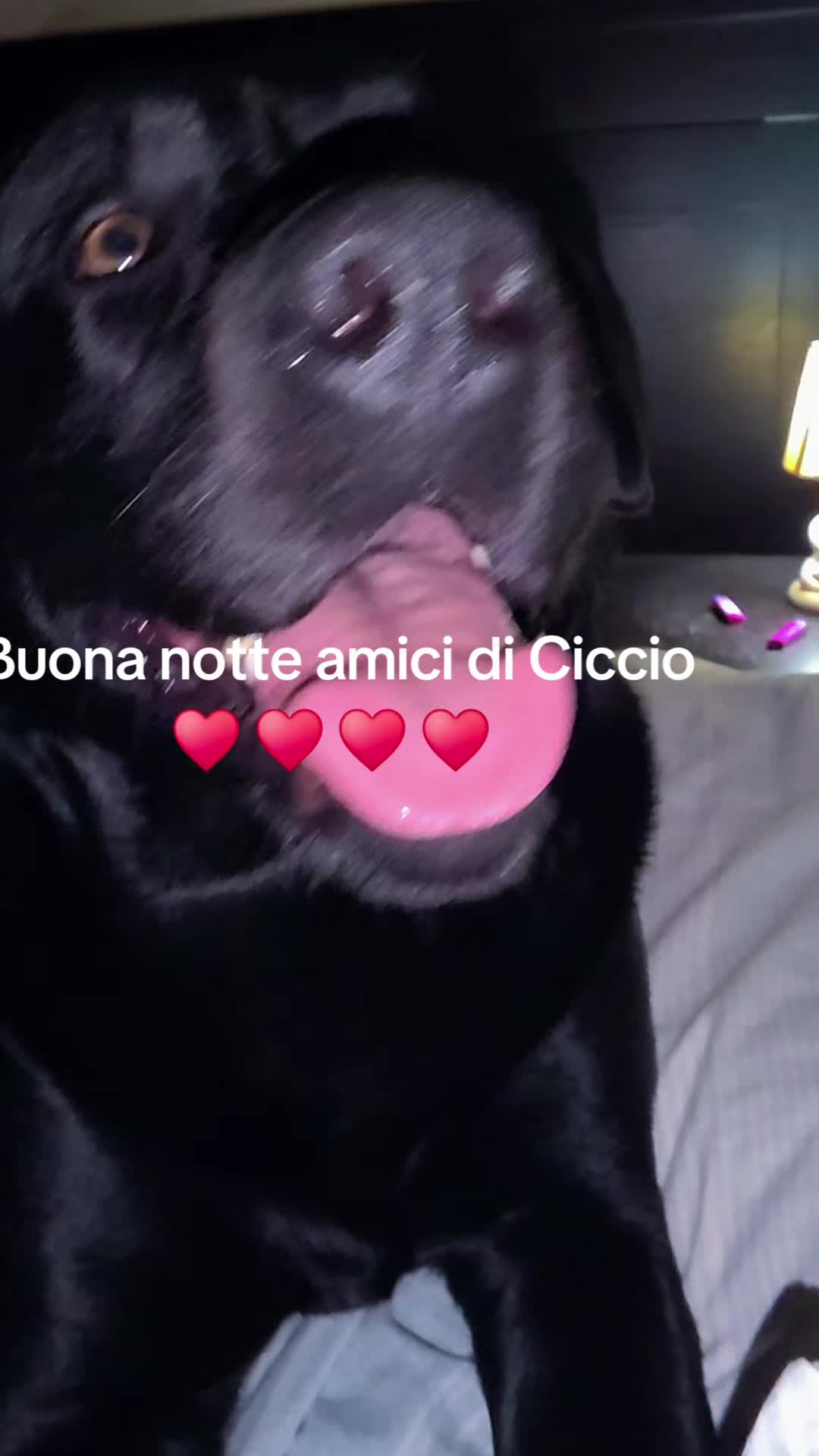 @Vale....🤗