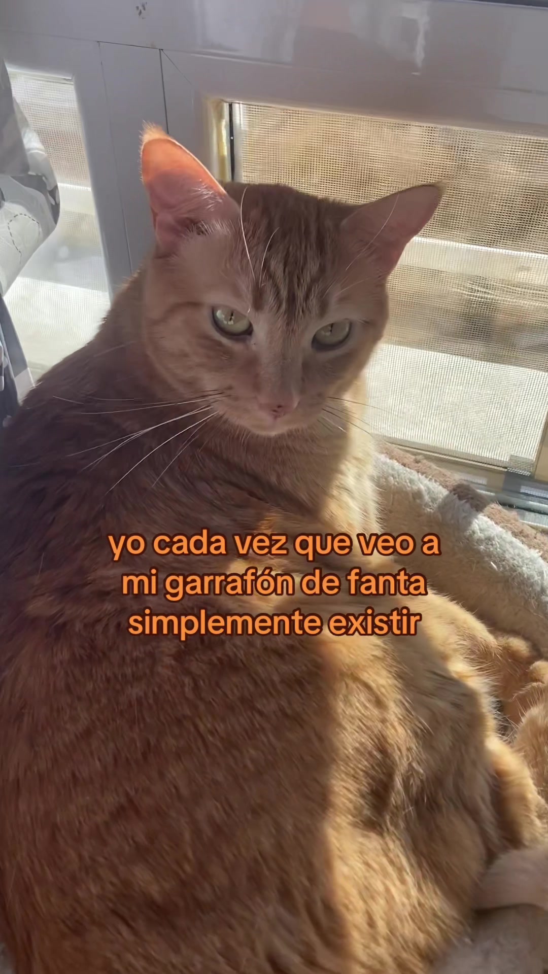 @Lena