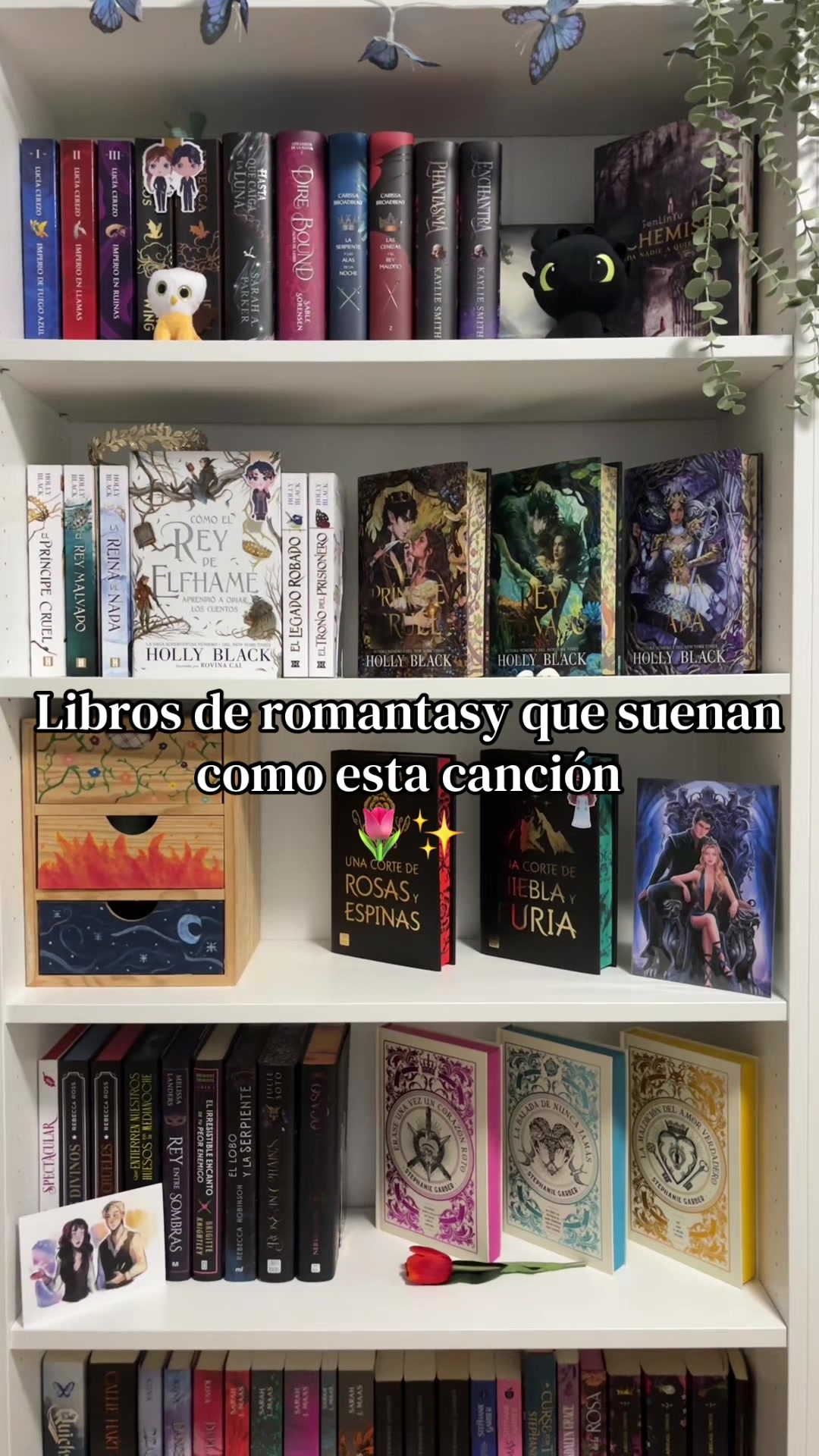 @Thedarkmoonbooks🌙✨
