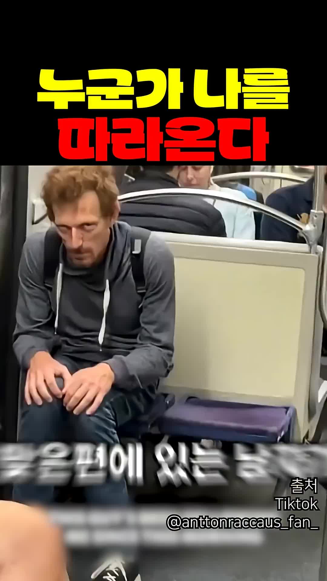 @짱아까미