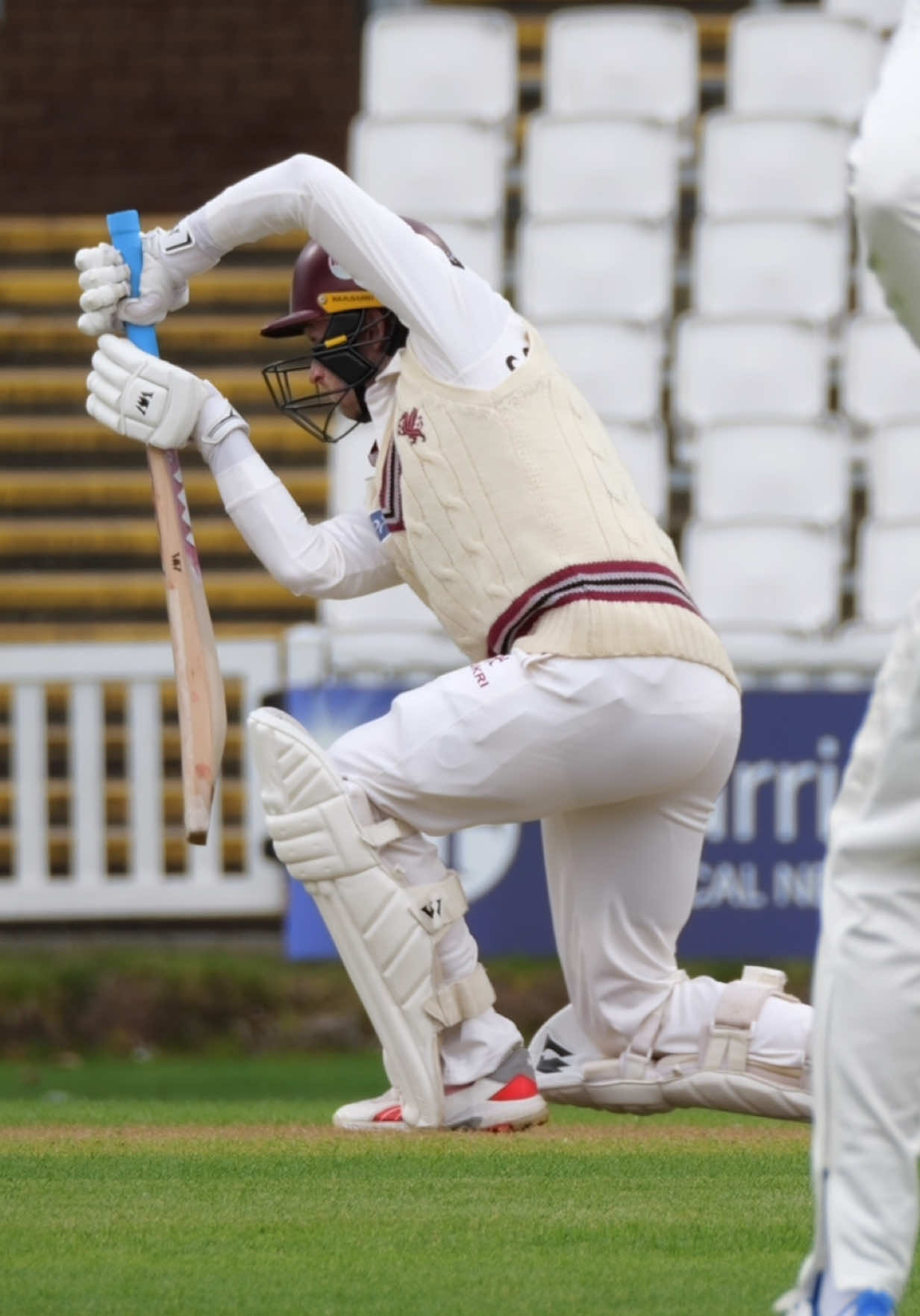 @Somerset Cricket