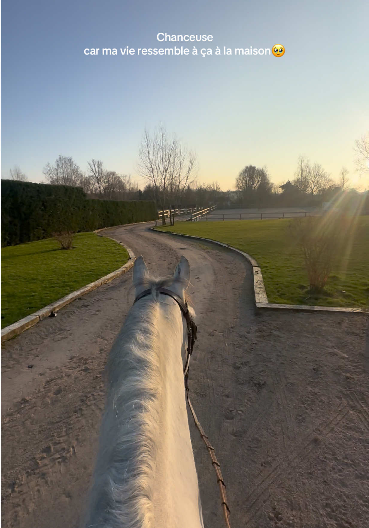 @Ma&euml;lyne cuvelier🤠