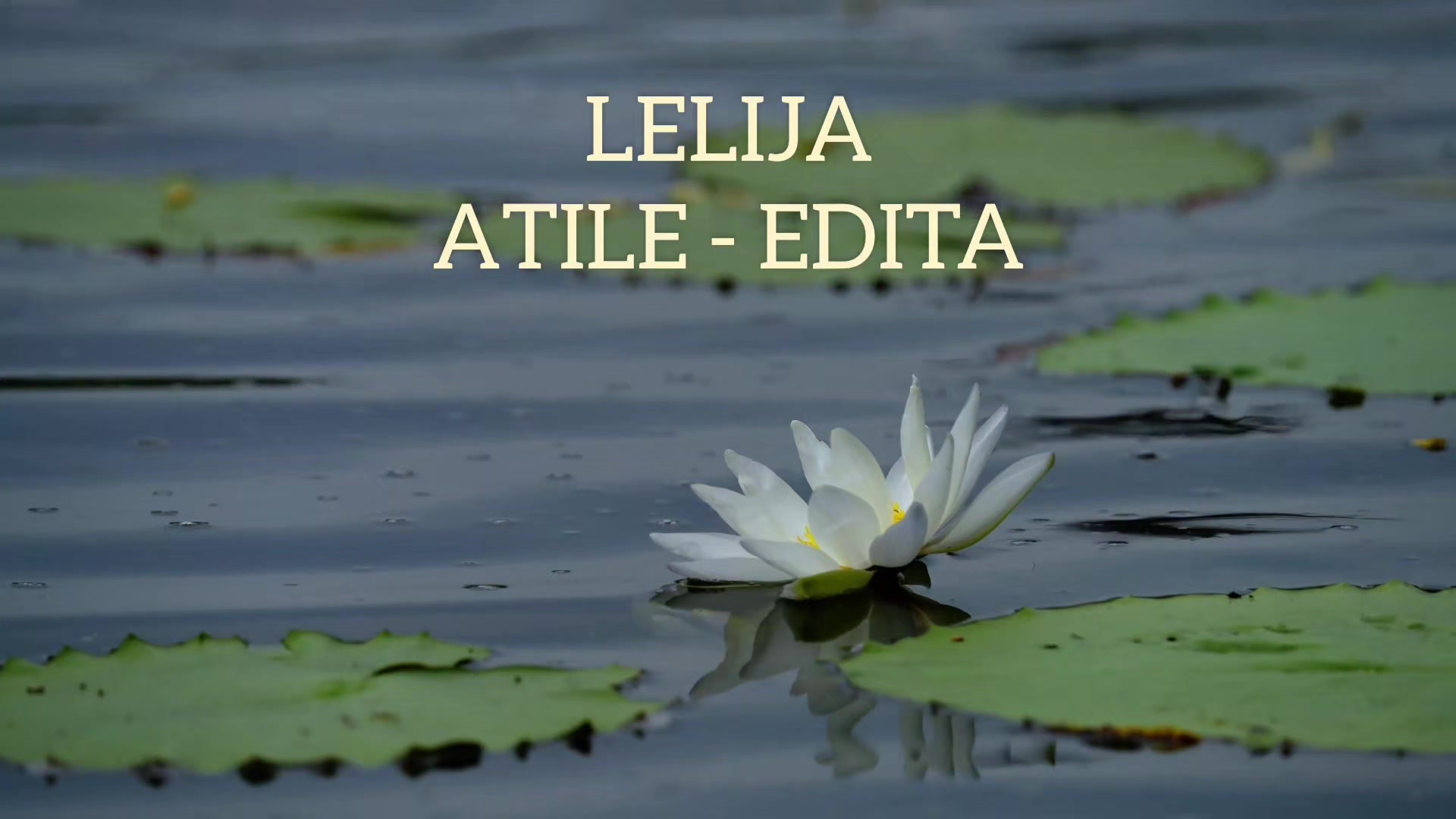 @Atile-Edita