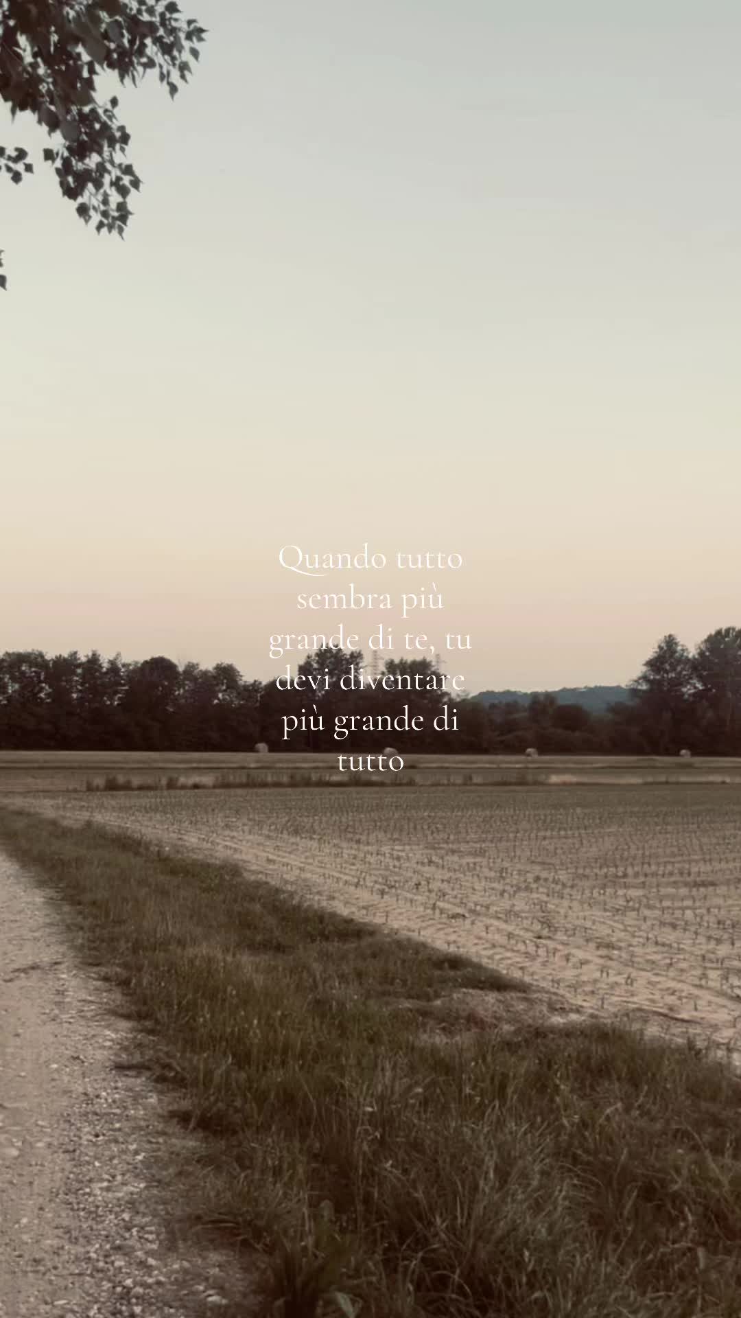 @Pilar Robledo