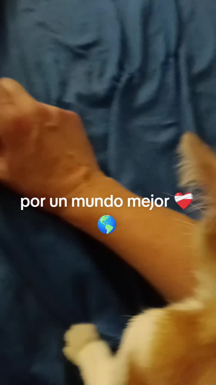 @Vero Jimenez Ferrer