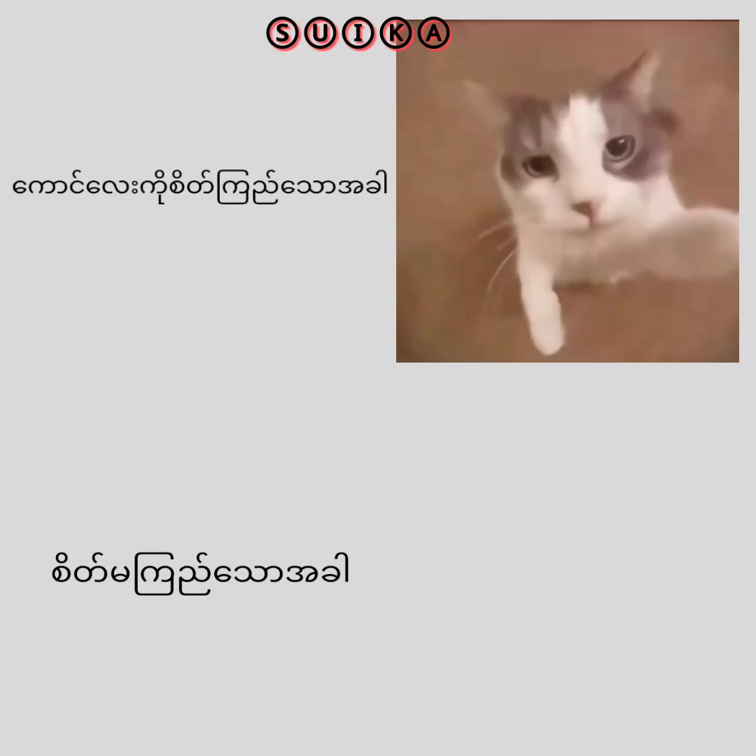 @Ⓢⓤⓘⓚⓐ