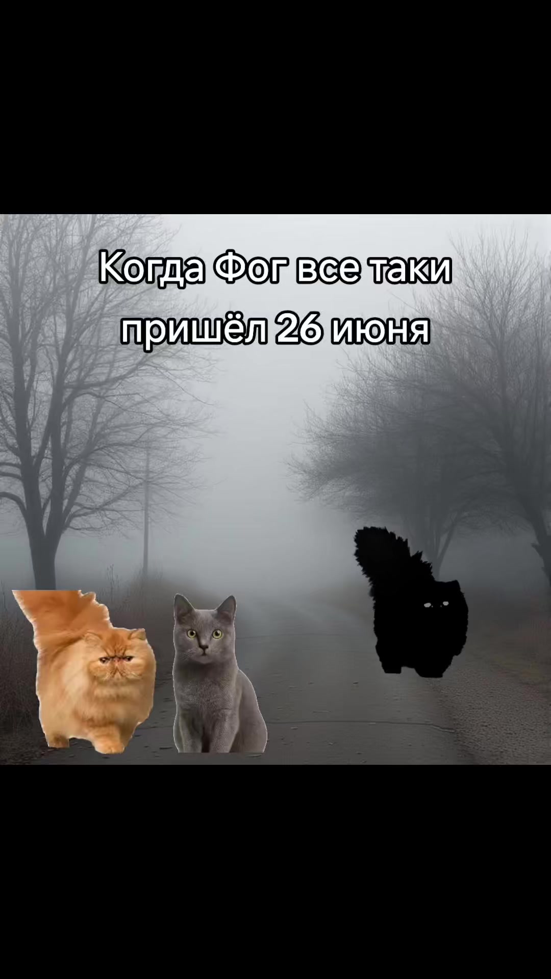@EeehBlyaat