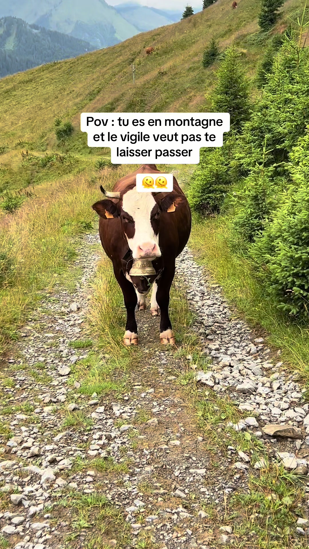 @Mathilde Briere