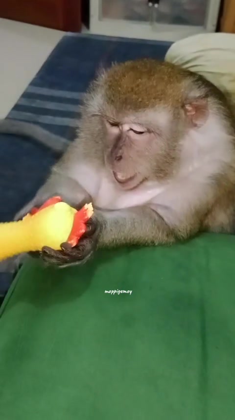 @Moppi 2
