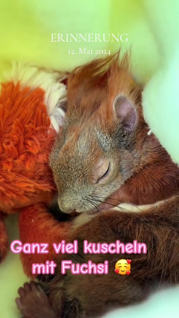 @Jenny&Skippi🐿️ TeamV🐿️u🦔🏰