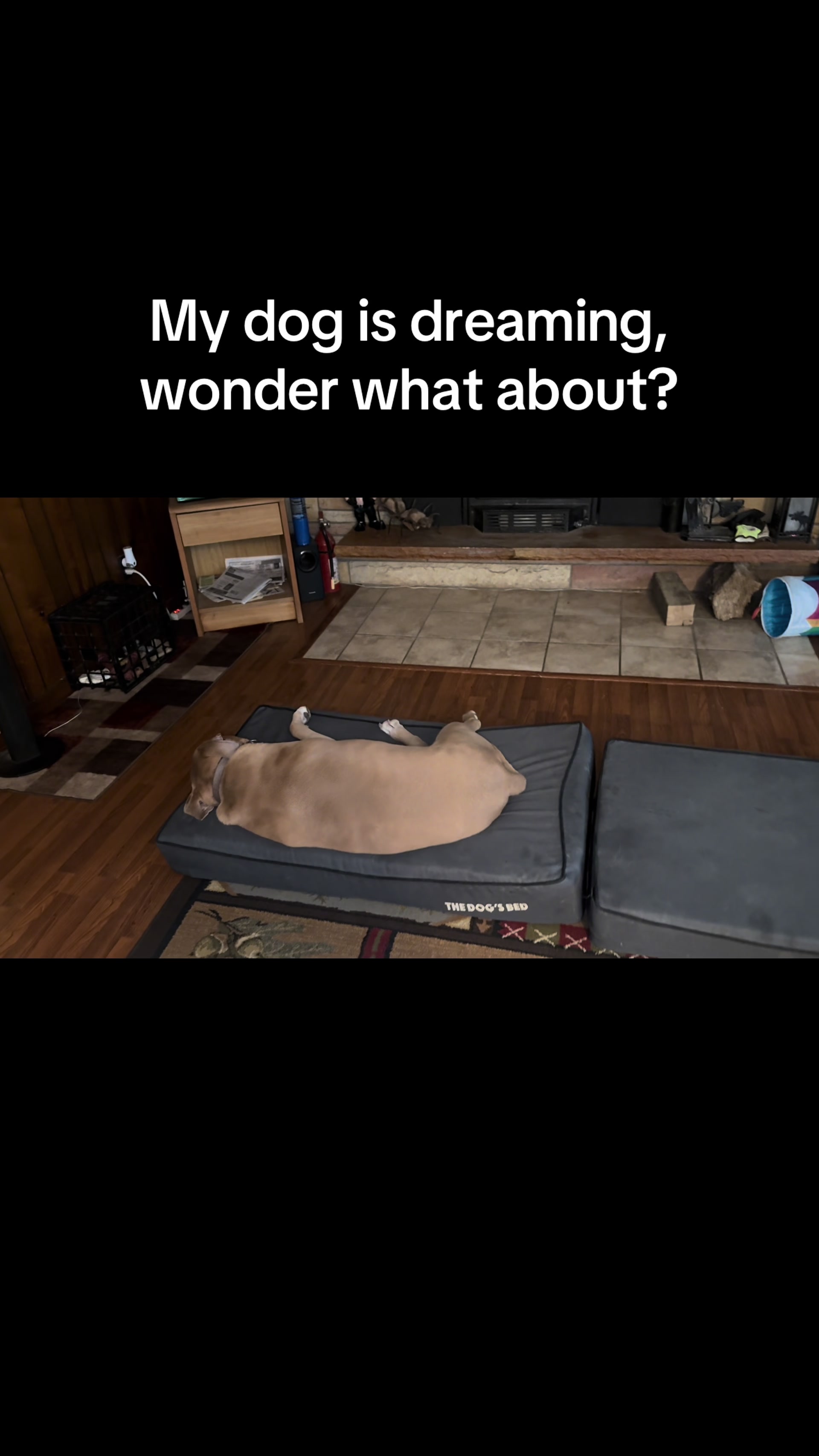 @thewoman