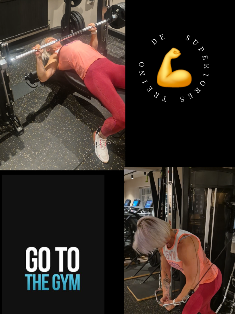 @Trainwithevee