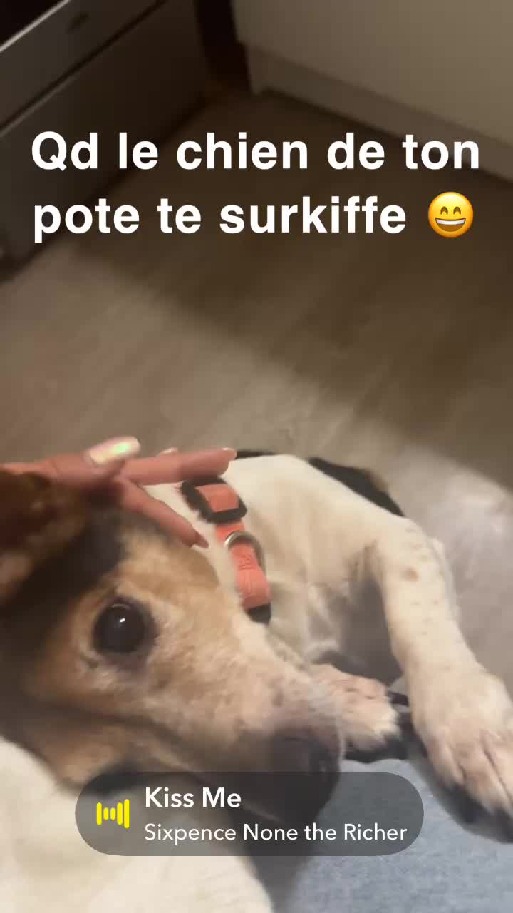 @Feelyne