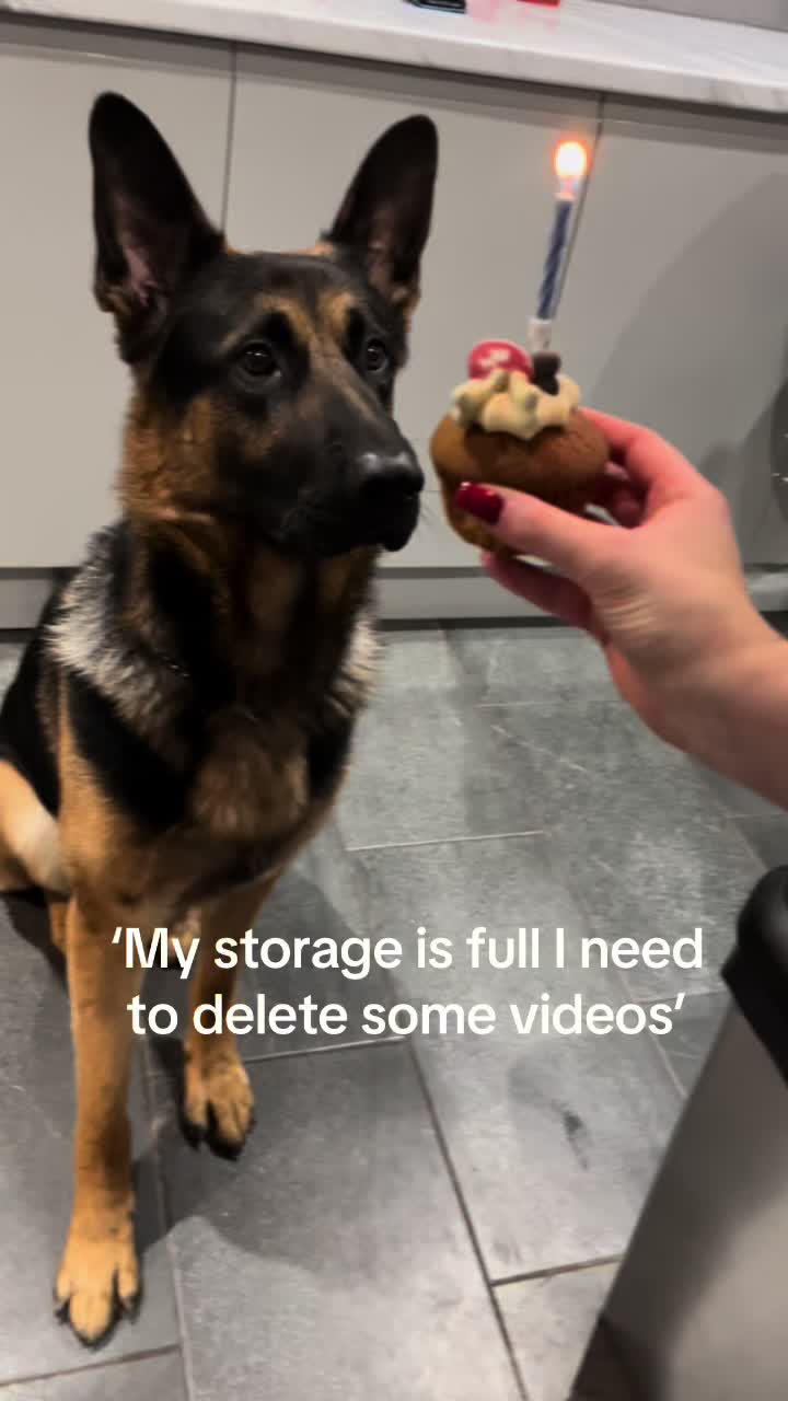 @JebLiz_