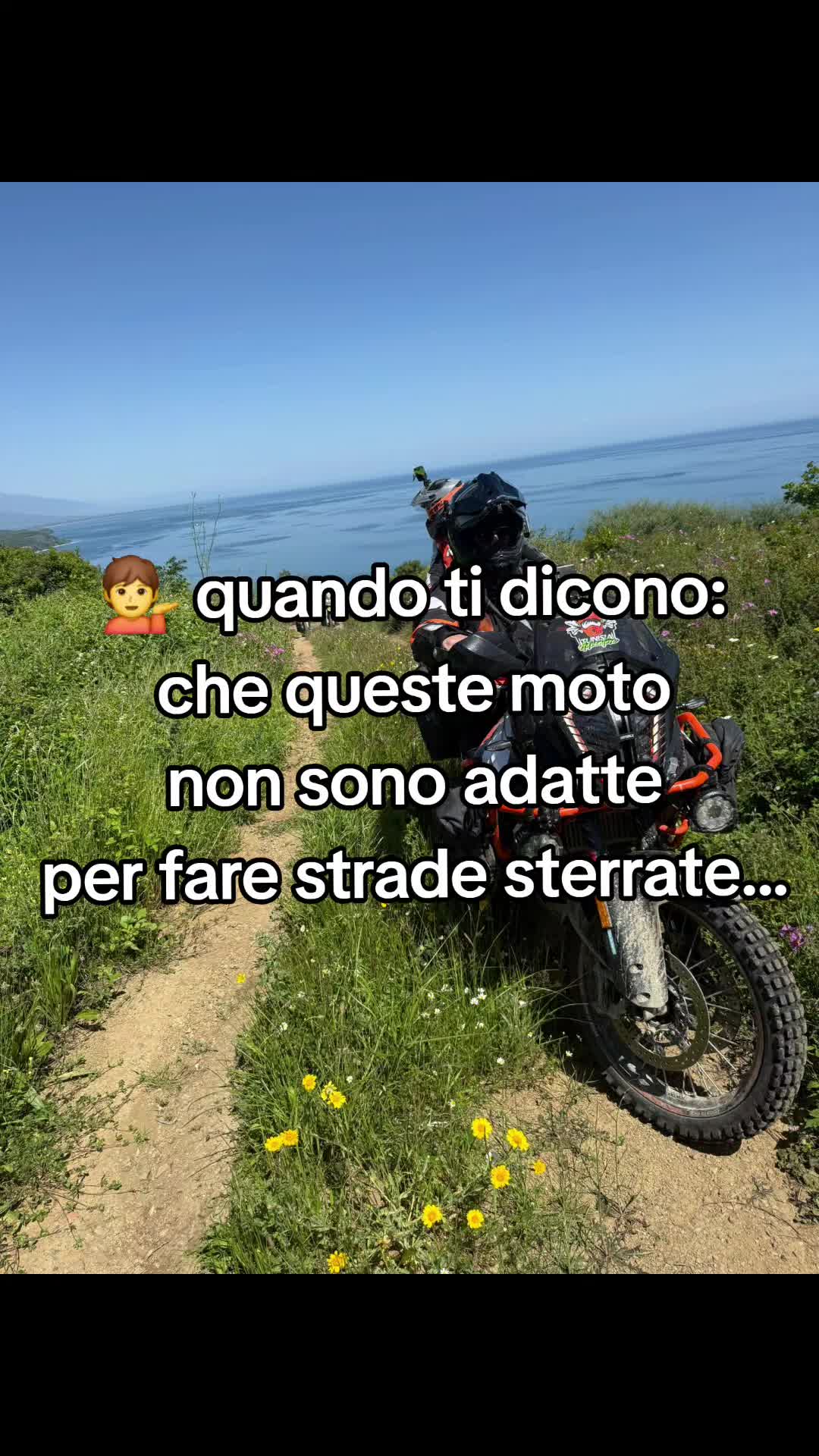 @Daniele Bernaschino 🦍🦁