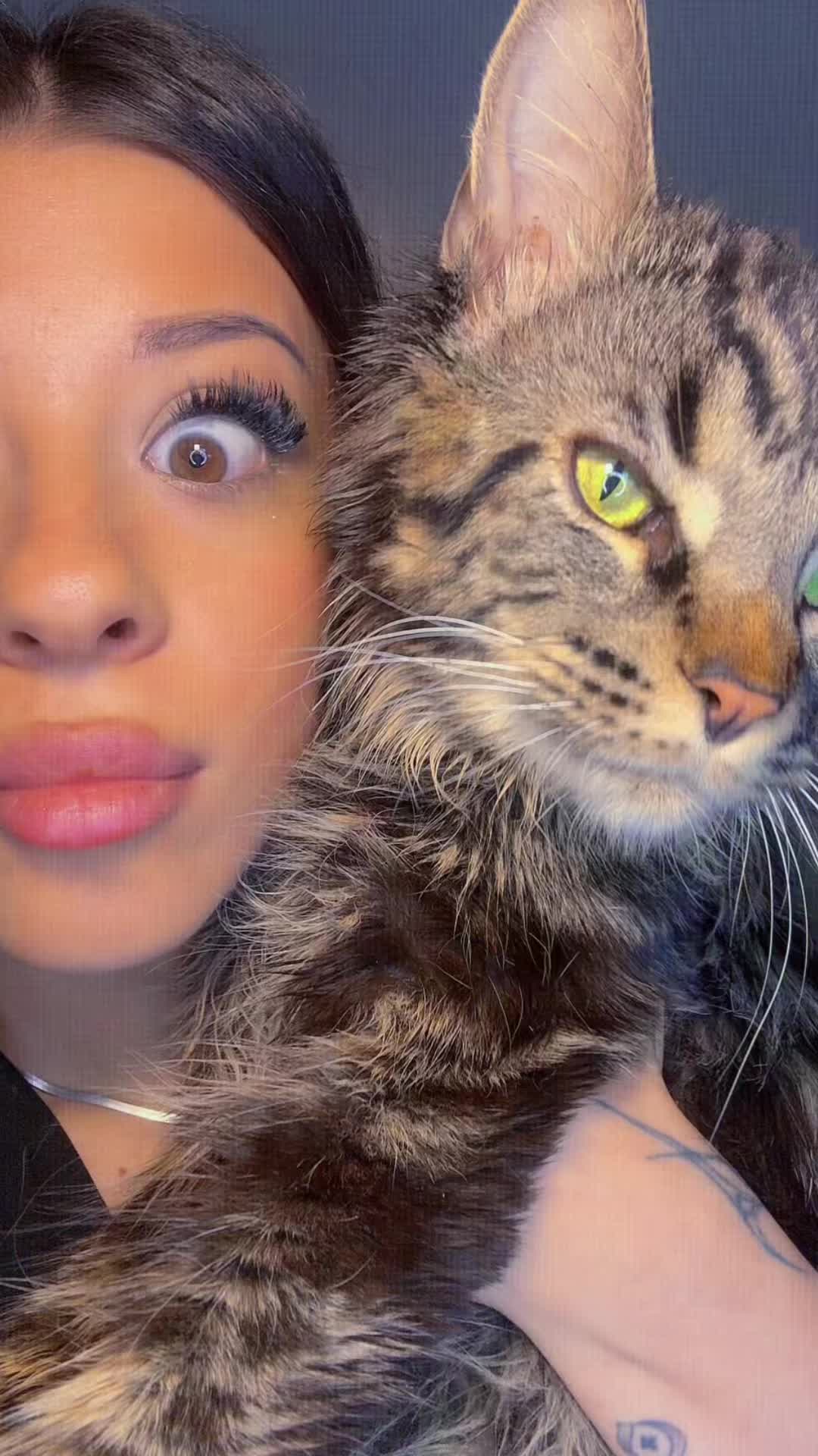 @dxdelia