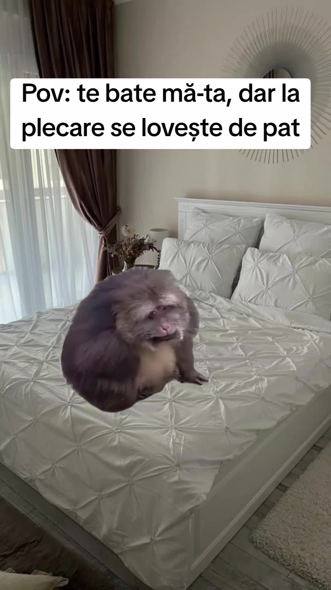 @Ionela Pavel🖤