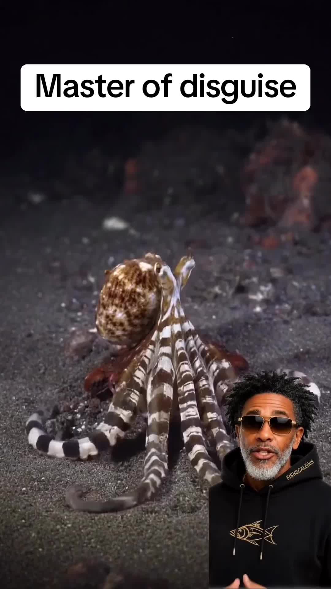@Fishscaleous