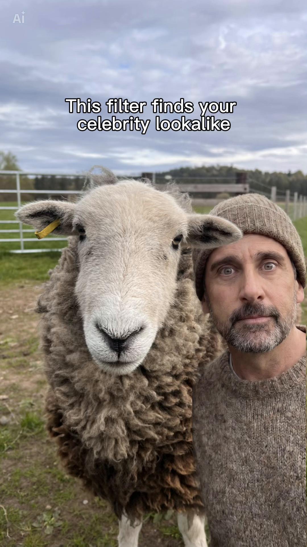 @Annie The Lamb