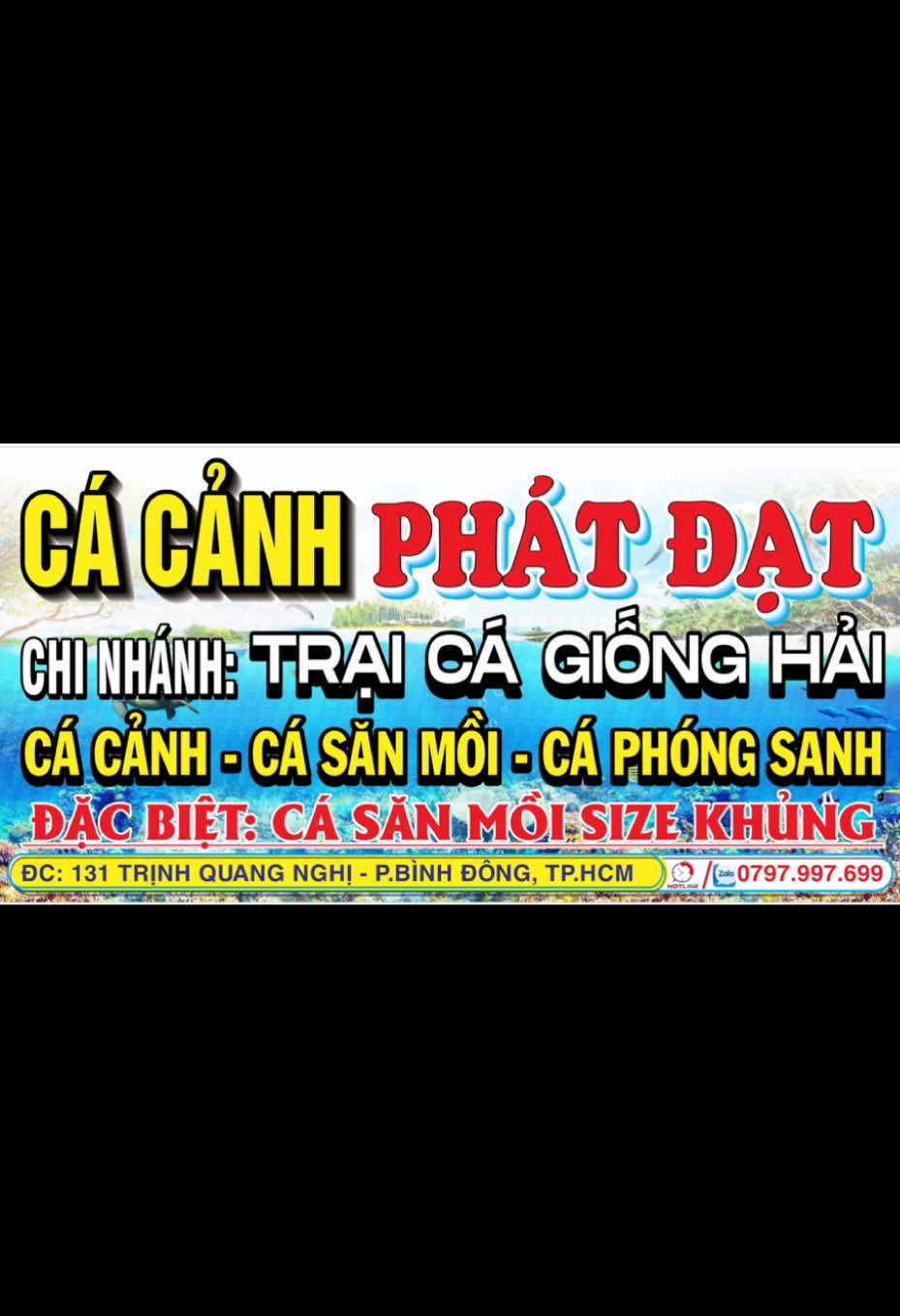 @Phát Đạt Bán Cá 😎🐠🦈