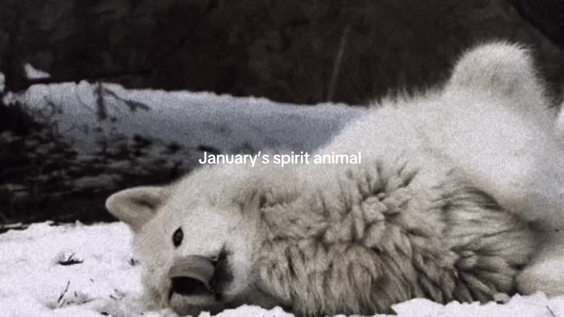 @๐๐๐
๐๐๐๐โ