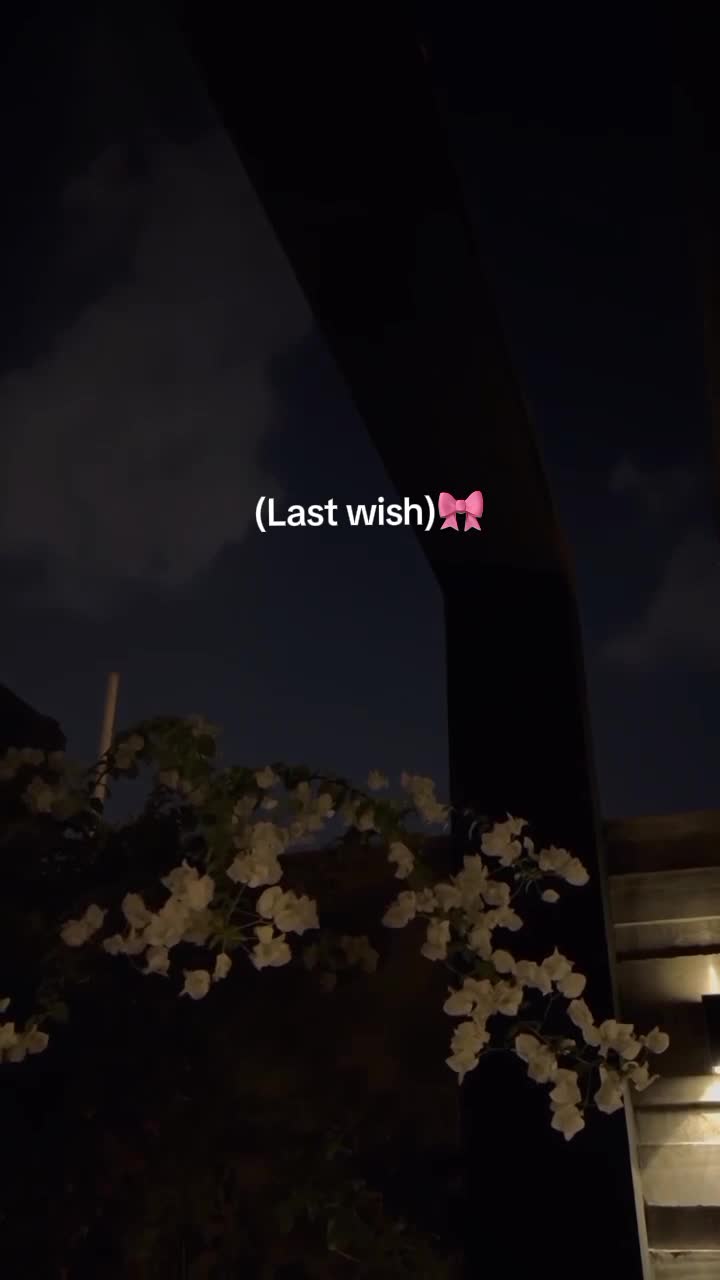 @๐๐ ๐ผ๐โ๏ธ