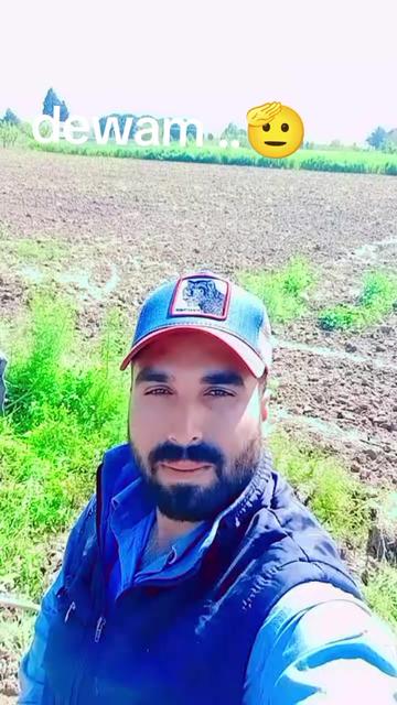 @Onur de Tanırlar