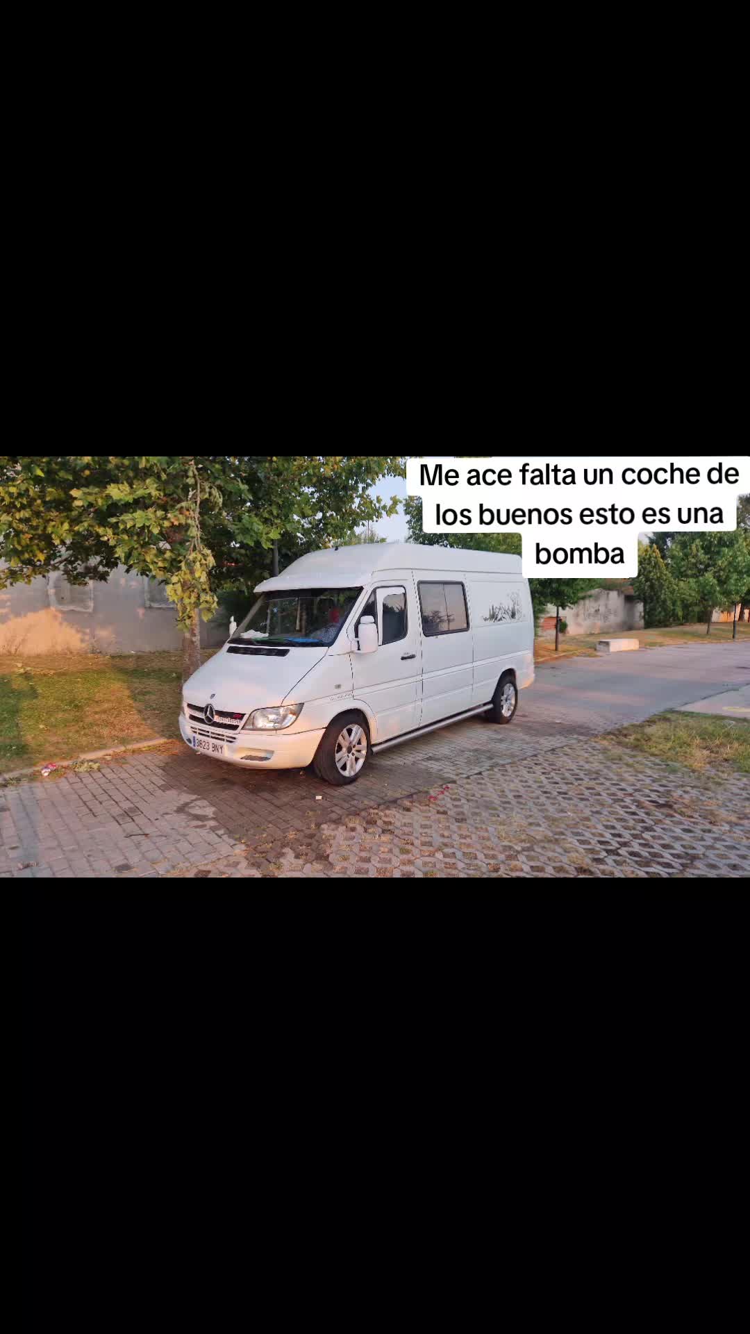 @@gallera_solitaria
