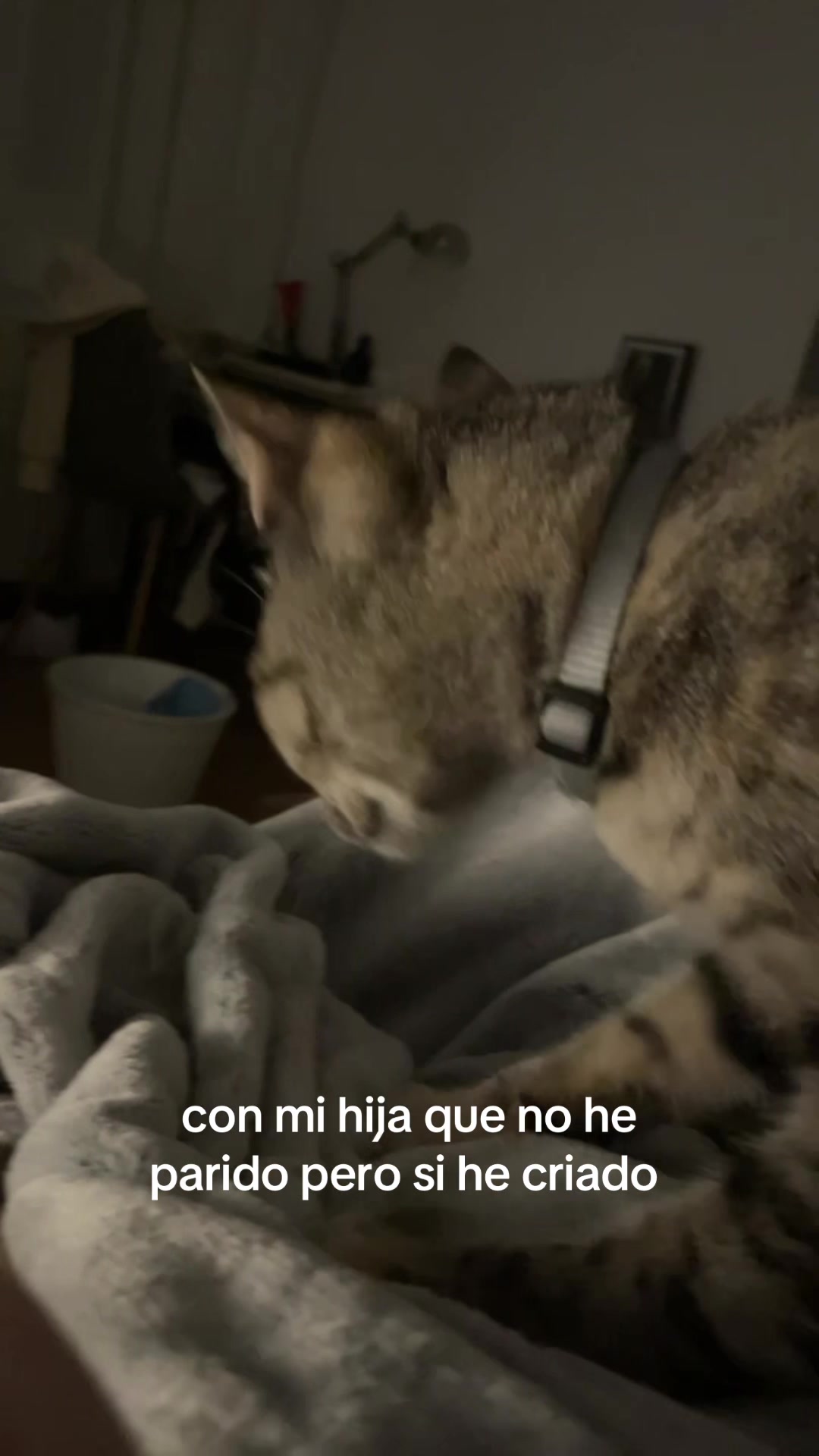 @HeLeNa