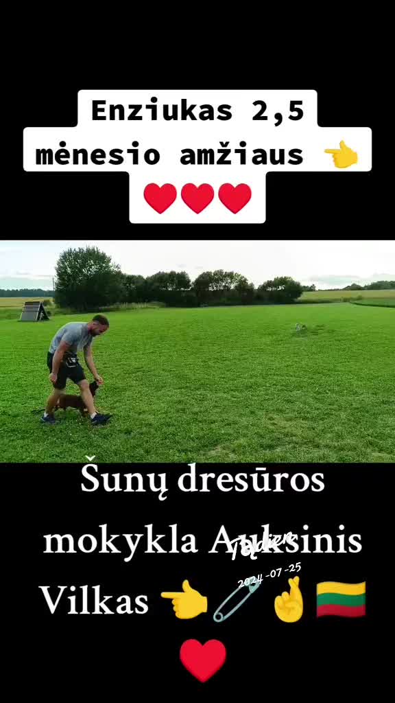 @Vidmantas Selvenis